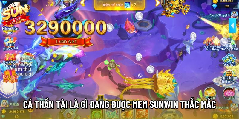 Cá thần tài là gì đang được người chơi Sunwin thắc mắc Cá thần tài là gì đang được người chơi Sunwin thắc mắc