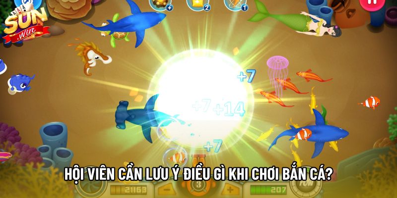 Hội viên cần lưu ý điều gì khi chơi bắn cá? Hội viên cần lưu ý điều gì khi chơi bắn cá?