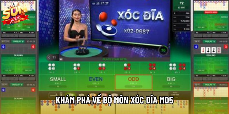Khám phá về bộ môn xóc đĩa MD5